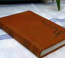 livre relié cuir Clarisse Francillon LA LETTRE