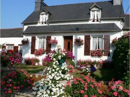 Location vacances - Photos Vivastreet Le Grand Hortensias centre Finistère PLEYBEN