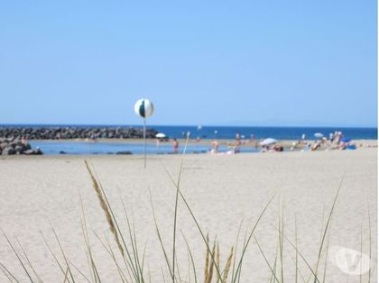 Location vacances - Photos Vivastreet APPART CLIM CAP D'AGDE FACE MER PISCINE PLAGE ROCHELONGUE