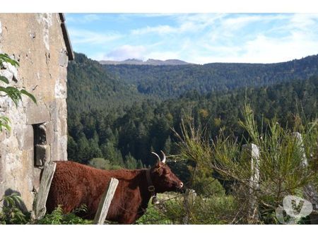 Location vacances France - Photos Vivastreet GITE DE F.3 épis 4 étoiles14p.et 3-4p.AUVERGNE La Bourboule