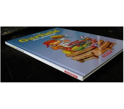 Livres - Photos Vivastreet BD Garfield 46 Moi, gourmand ? (Jim Davis)