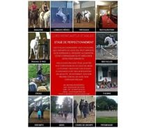 Leçons d'équitation