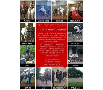 Sport - Photos Vivastreet Leçons d'équitation