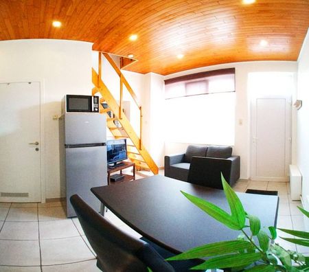 location meublé Sambreville - Photos Vivastreet Appartement 1ch meublé au mois TV+wifi près Namur- Charleroi