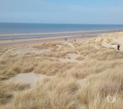 Locations vacances Klemskerke De Haan - Photos Vivastreet Vacances ou détente a la mer