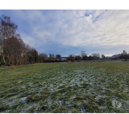 Terrains à vendre Momignies Momignies-Centrum - Photos Vivastreet Superbe terrain à bâtir de 32 ares