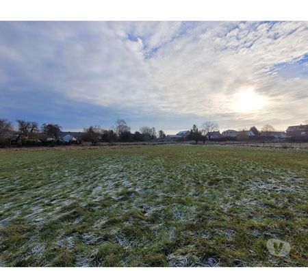 Terrains à vendre Momignies Momignies-Centrum - Photos Vivastreet Superbe terrain à bâtir de 32 ares