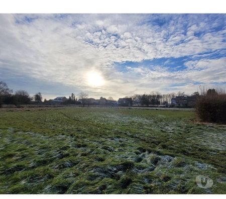 Terrains à vendre Momignies Momignies-Centrum - Photos Vivastreet Superbe terrain à bâtir de 32 ares
