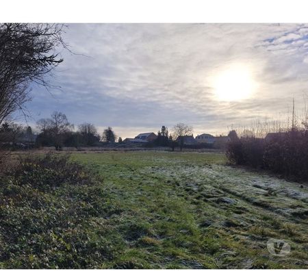 Terrains à vendre Momignies Momignies-Centrum - Photos Vivastreet Superbe terrain à bâtir de 32 ares
