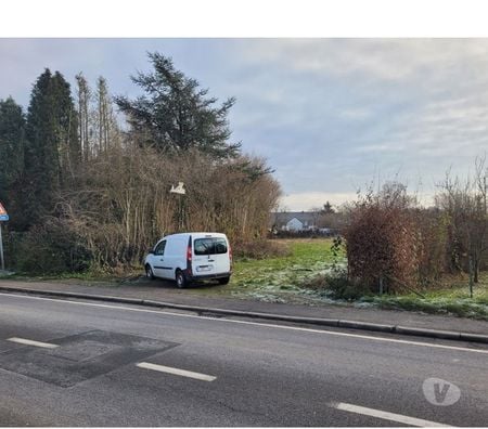 Terrains à vendre Momignies Momignies-Centrum - Photos Vivastreet Superbe terrain à bâtir de 32 ares