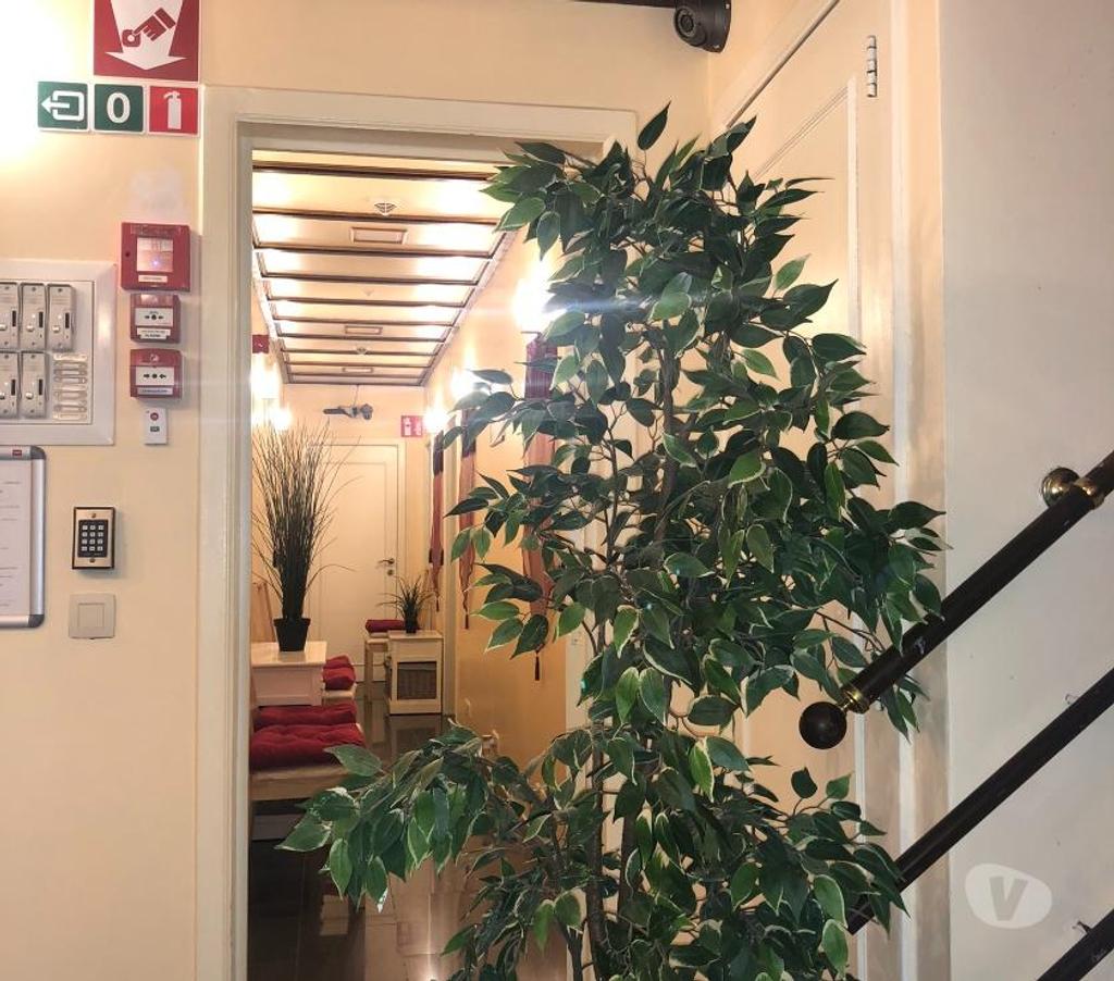 location meublé Anderlecht - Photos Vivastreet Flat Meublé 100% Conforts Services Moyenne& Longue Durées