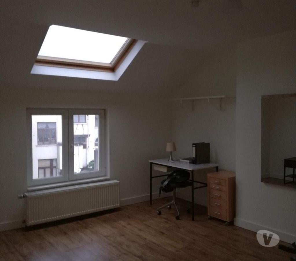 Location appartement Schaerbeek - Photos Vivastreet Appartement 1 chambre