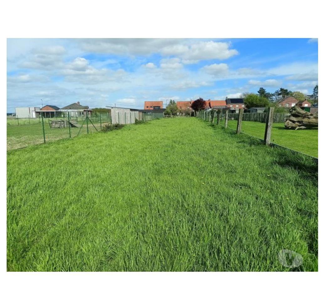 Annonce maison Ieper Ypres - Photos Vivastreet Maison demi-détachée avec grand jardin et prairie
