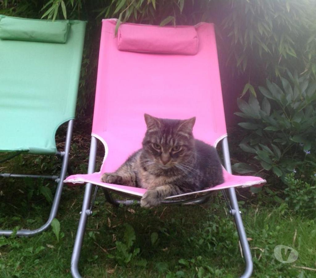 location meublé Uccle - Photos Vivastreet Charmant StudioFlat dans maison avec jardin