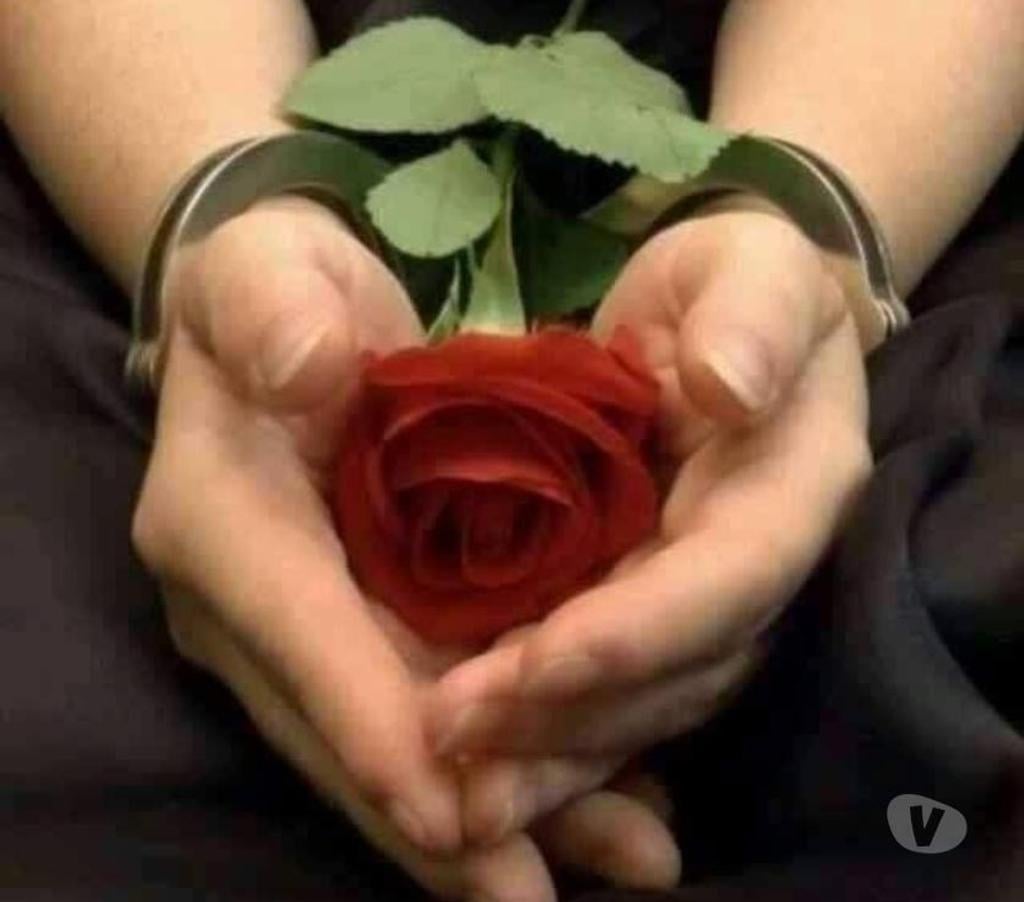 exhib Liège Liège-Centrum - Photos Vivastreet Soumis pour Dame Dominante