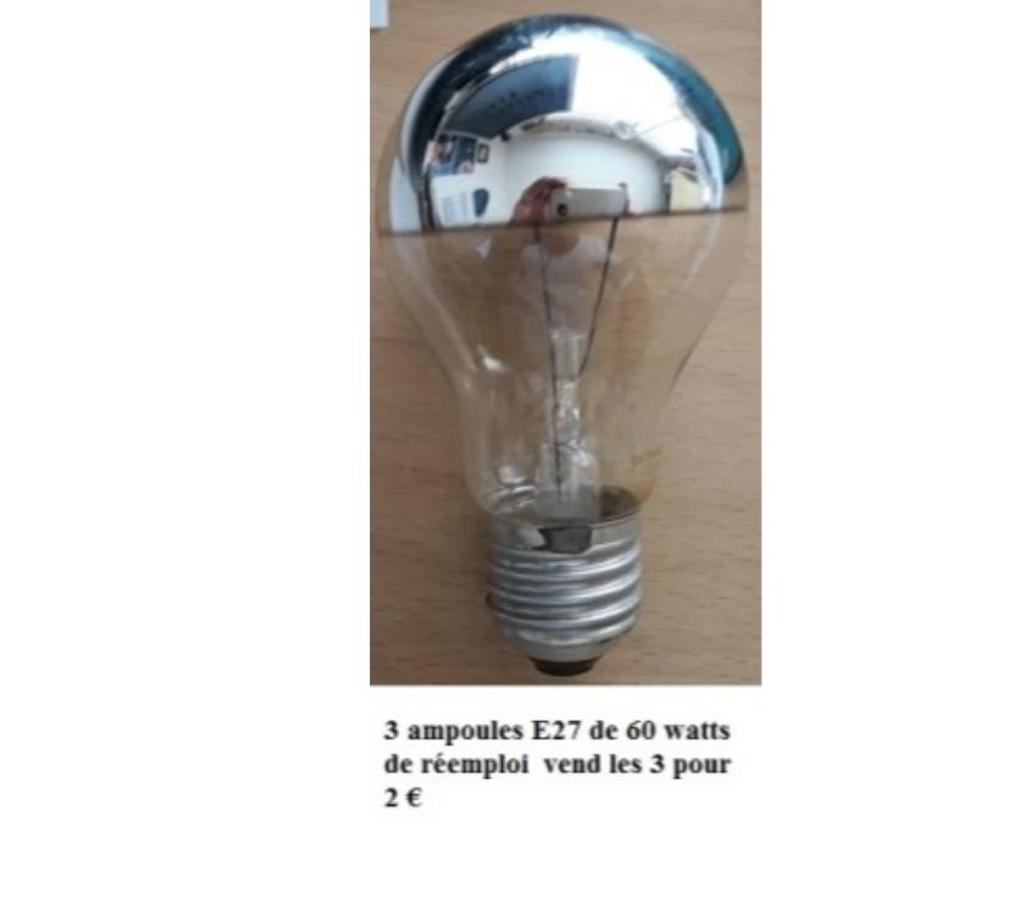  Manage - Photos Vivastreet Ampoules diverses 220 volts de réemploi