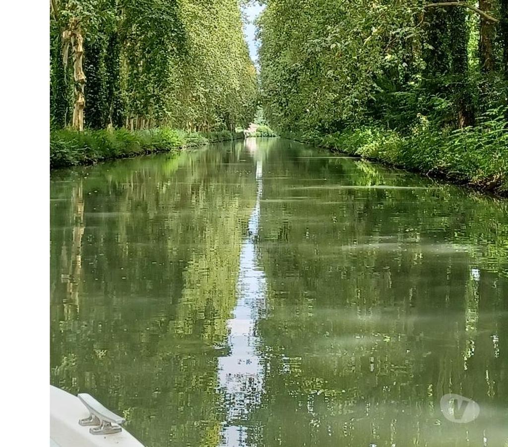 exhib Etterbeek - Photos Vivastreet À tout tes plaisirs