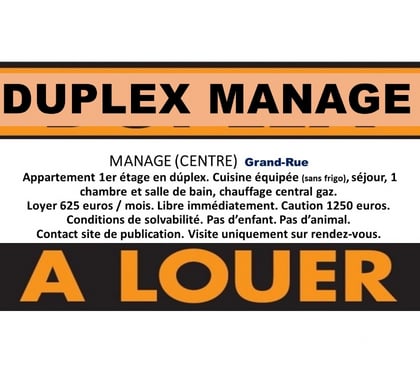 Location appart - Photos Vivastreet A LOUER APPARTEMENT EN DUPLEX MANAGE