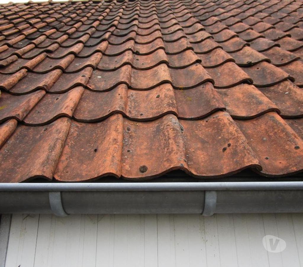  Brunehaut Laplaigne - Photos Vivastreet tuiles flamandes