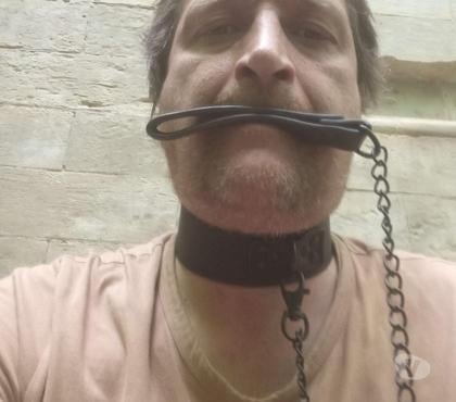 Gay - Photos Vivastreet Rêve de devenir une chienne soumise