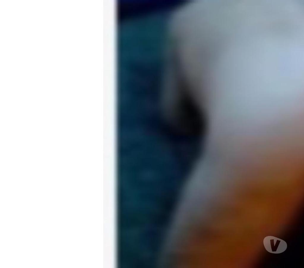 Gay Liège Liège-Centrum - Photos Vivastreet Pour arabe ou turque suis homme mur discret