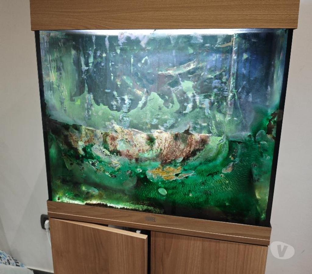 Autre Nivelles Nivelles-Centrum - Photos Vivastreet A vendre aquarium, bon prix