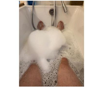 Rencontre sexe Bruxelles-Centrum Bruxelles (Brussels) - Photos Vivastreet H48 cherche F(s) pour jeux uro - venez me faire pipi dessus