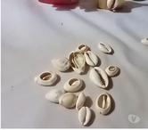 Marabout voyant médium voudou