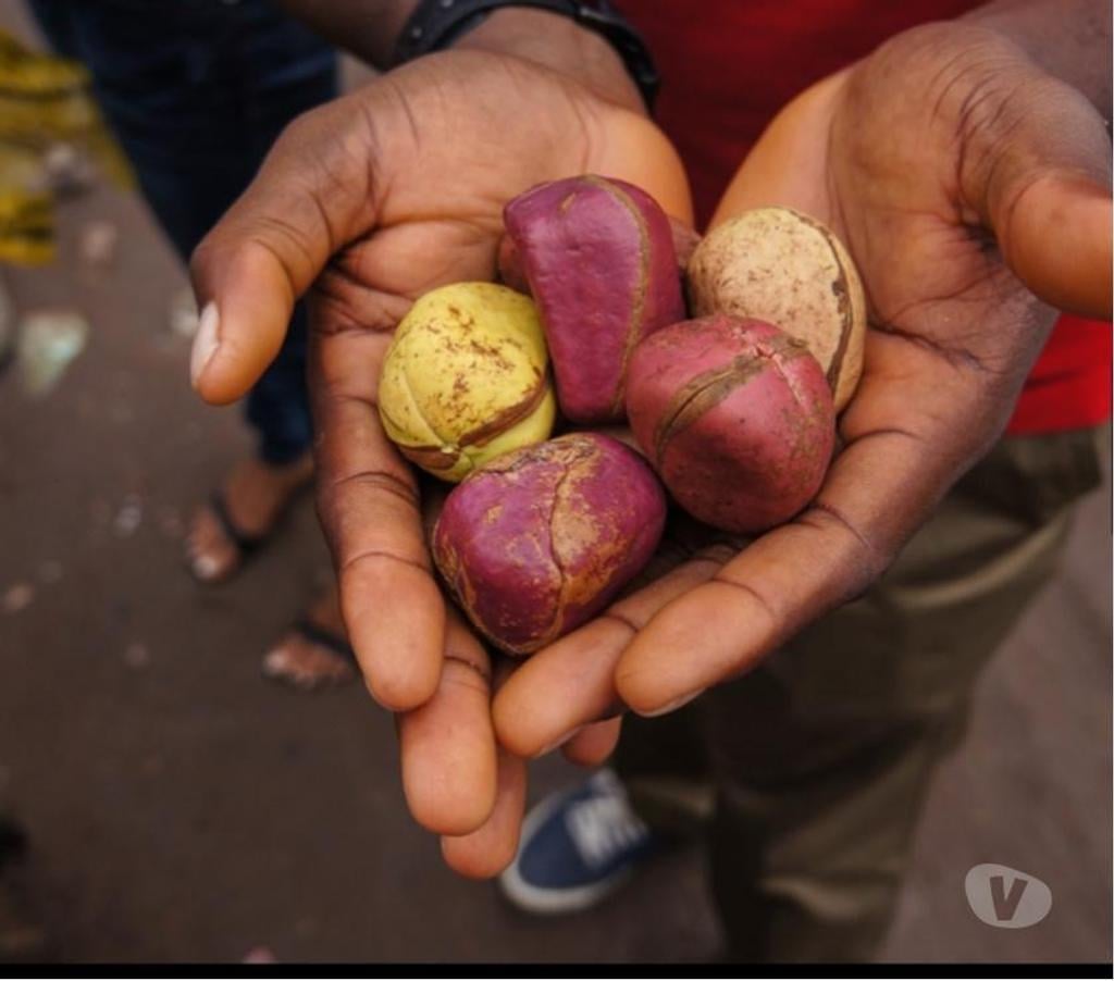 Horoscope - voyance Liège Liège-Centrum - Photos Vivastreet Marabout Voyant Medium à liège