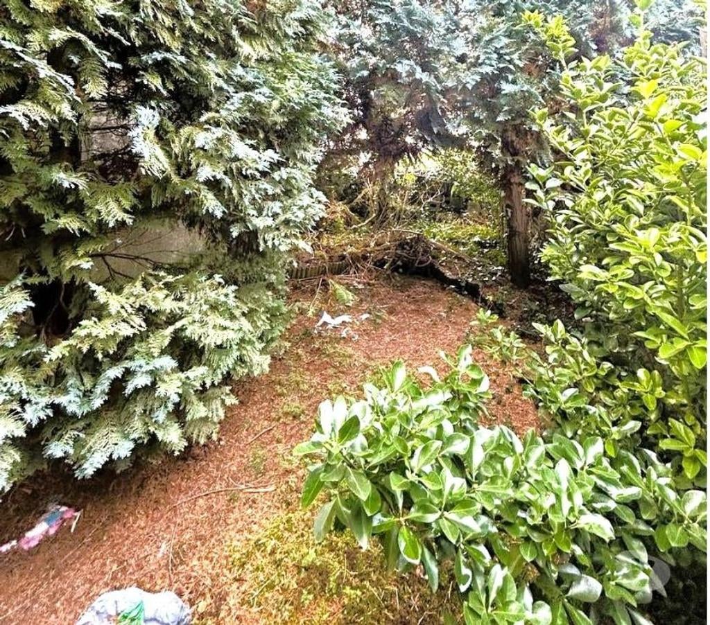 Annonce maison Jumet Lodelinsart - Photos Vivastreet Vendue: Maison 5 chambres + jardin + entrepôt. PEB D.