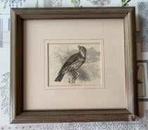 Ancienne gravure sur bois Victorienne de 1883