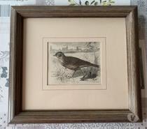 Ancienne gravure sur bois Victorienne de 1883