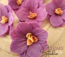 Fleurs Azyme 3D (comestibles)