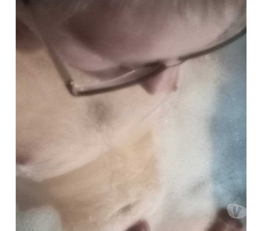 Gay Brugelette Cambron-Casteau - Photos Vivastreet JH 36 bi versa pour fun