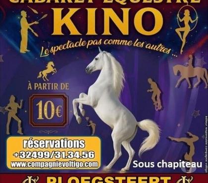 Concerts - Théâtre - Spectacles Ploegsteert Comines-Warneton - Photos Vivastreet CABARET EQUESTRE