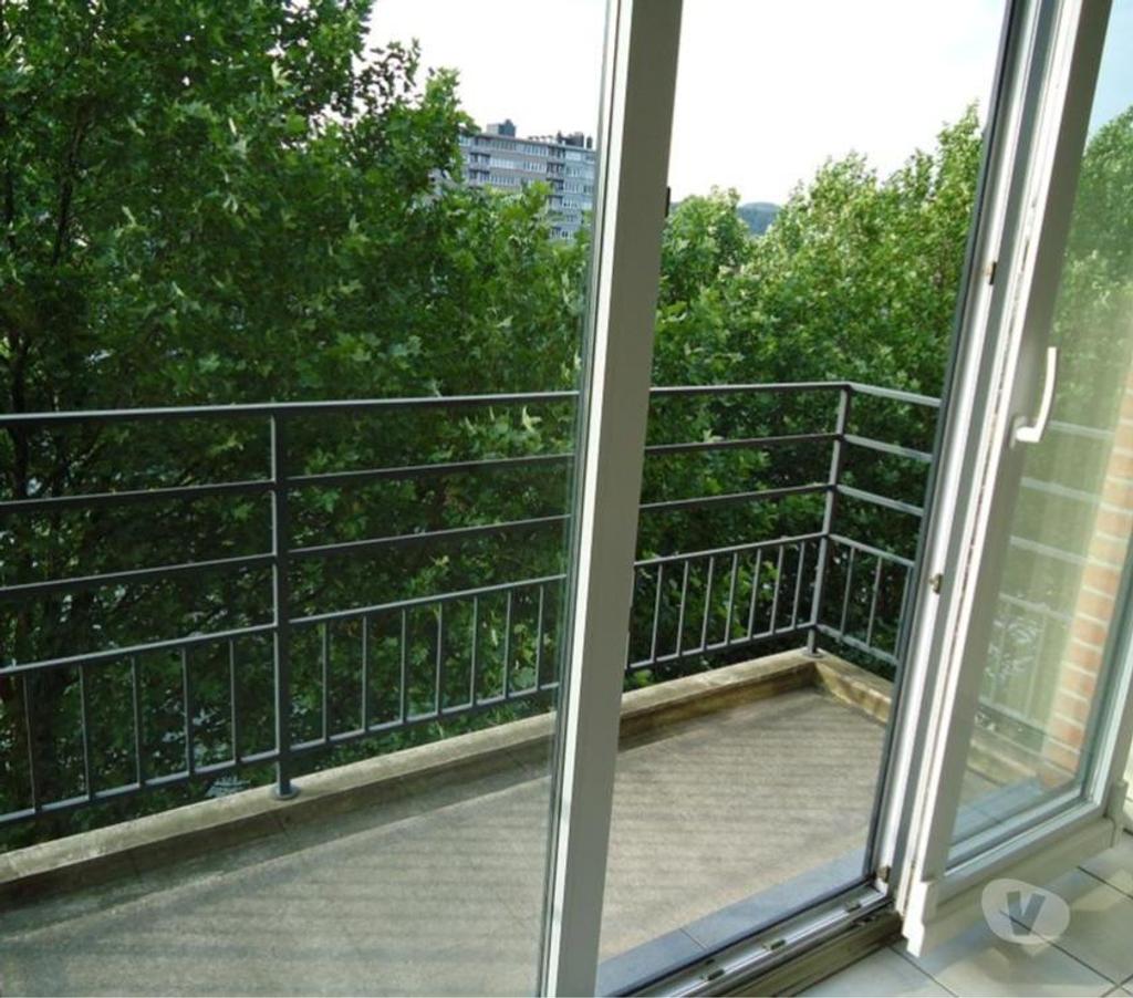Location appartement Liège Liège-Centrum - Photos Vivastreet À louer très beau Studio + garage