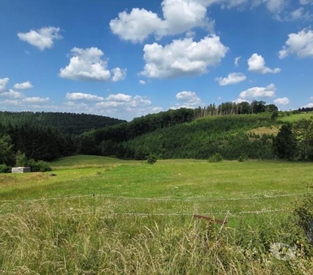 Terrains à vendre Amonines - Photos Vivastreet 6997 Erezee - Durbuy : terrain à batir, 10a 13ca.