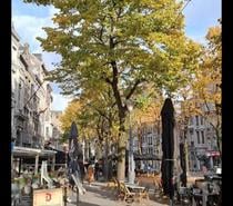 Coloc pour étudiant garçon (Liège-Centrum)