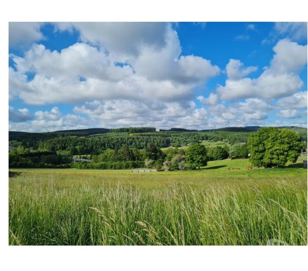 Terrains à vendre Tenneville Laneuville-au-Bois - Photos Vivastreet 6970 Ortheuville : terrain à bâtir, 11a 72ca.
