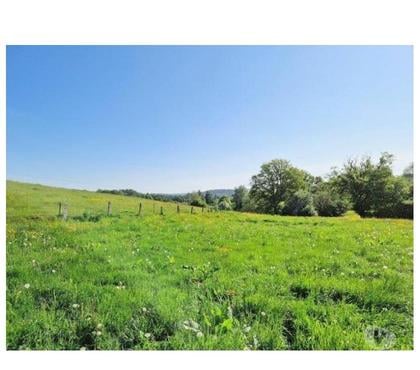 Vente terrain Bouillon-Centrum Bouillon - Photos Vivastreet Les Hayons : beau terrain de plus d'un hectare.