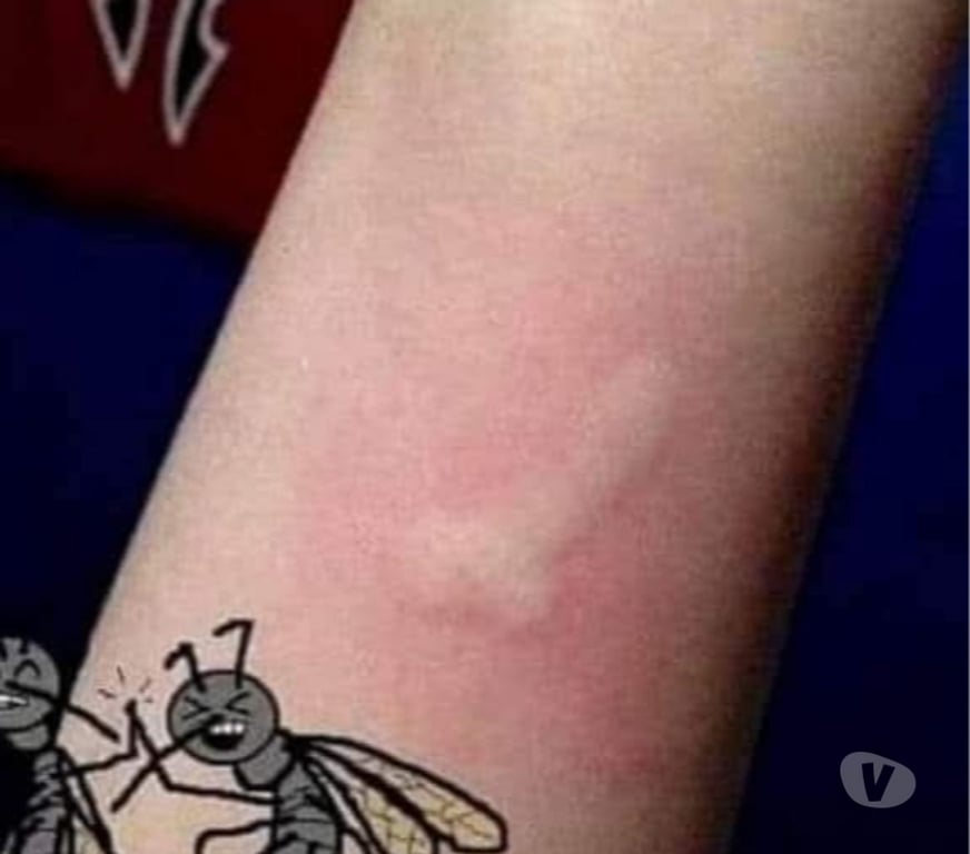 exhib Liège Liège-Centrum - Photos Vivastreet Femmes chaude voir nympho