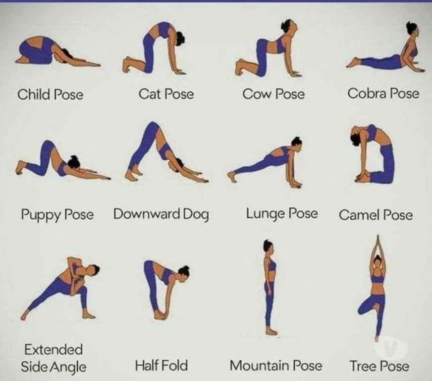 Sport Auderghem - Photos Vivastreet Cours de yoga pour tous les niveaux âges