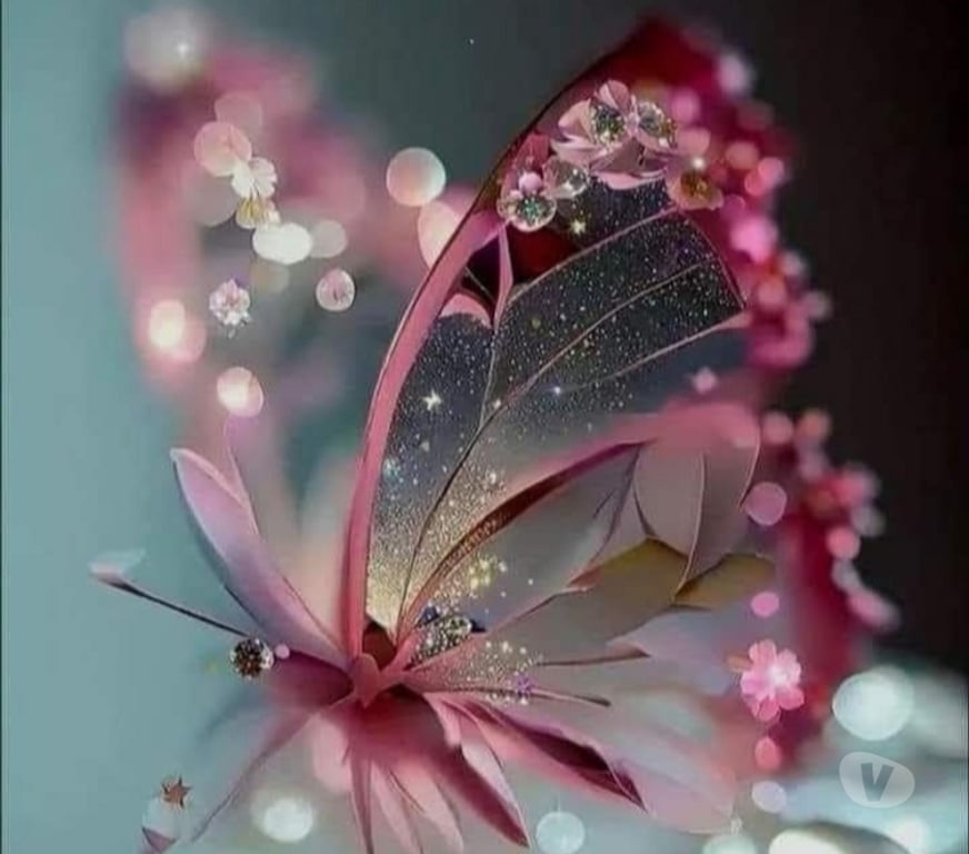 Escort Liège Liège-Centrum - Photos Vivastreet massage sensuelle et relaxant à 4 mains ou à 2 mains