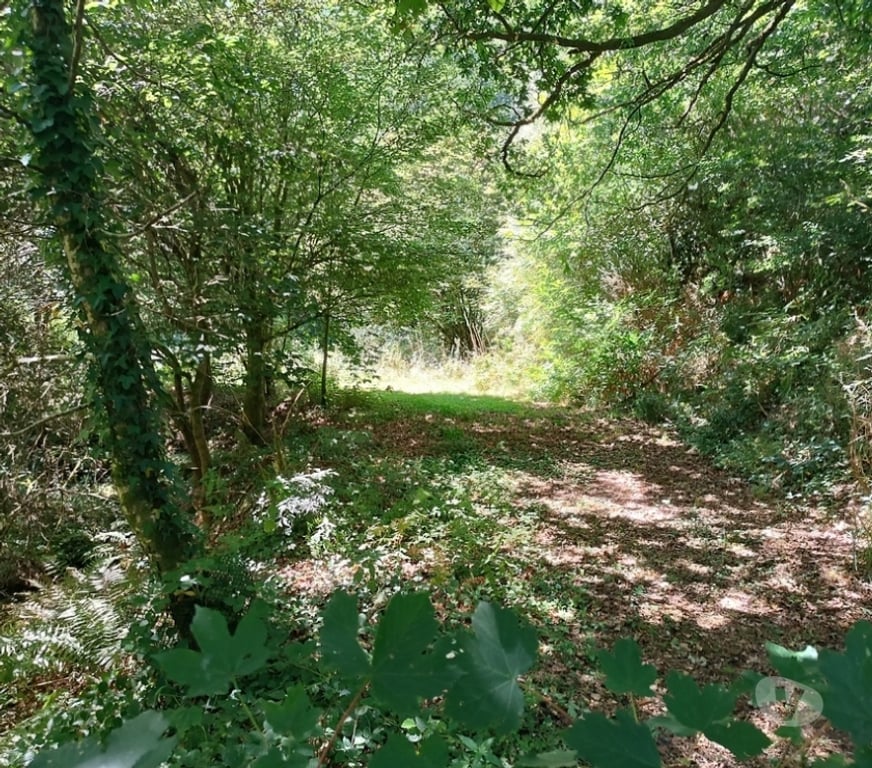 Annonce maison France - Photos Vivastreet BRETAGNE, belle maison néo-bretonne 183 m², 5 chambres