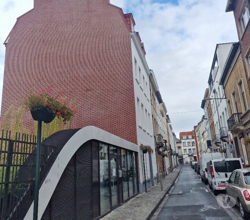 Location appartement Bruxelles (Brussels) Bruxelles-Centrum - Photos Vivastreet Appartement 3 chambres