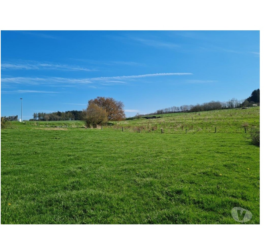 Terrains à vendre La Roche-en-Ardenne Beausaint - Photos Vivastreet Mierchamps : terrain à batir, 19a 43ca, belle situation.