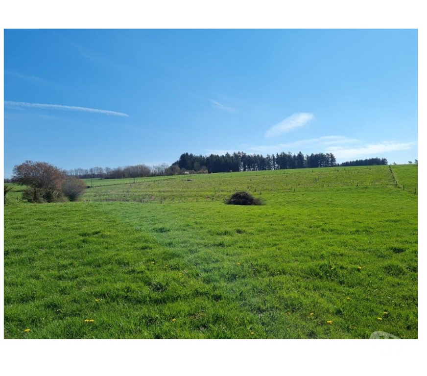 Terrains à vendre La Roche-en-Ardenne Beausaint - Photos Vivastreet Mierchamps : terrain à batir, 19a 43ca, belle situation.