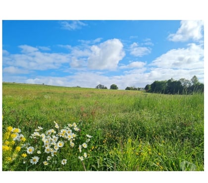 Terrains à vendre Erneuville Tenneville - Photos Vivastreet Ortheuville : terrain à batir, 21a 06ca.