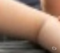 SANS QUEUE, les mains ne servent à rien...