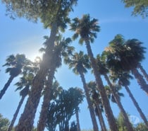 Une autre vie ailleurs
